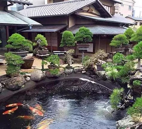 魚池植物